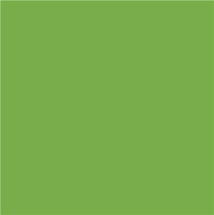 Vopsea Verde Deschis DF 0.75l