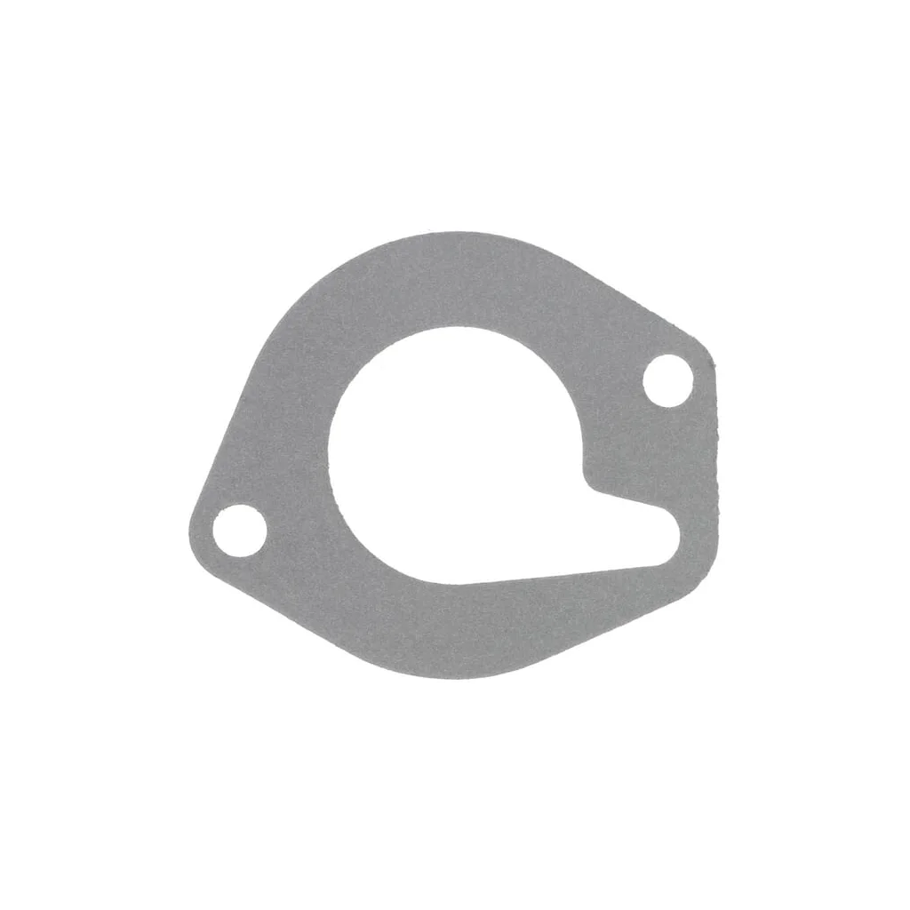 Garnitură termostat 36862151N