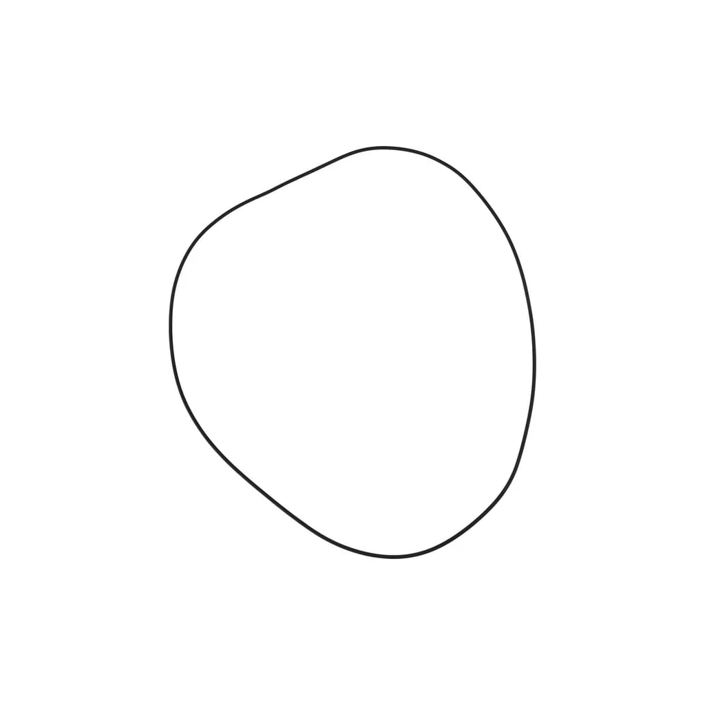 O-ring 3545945M1N
