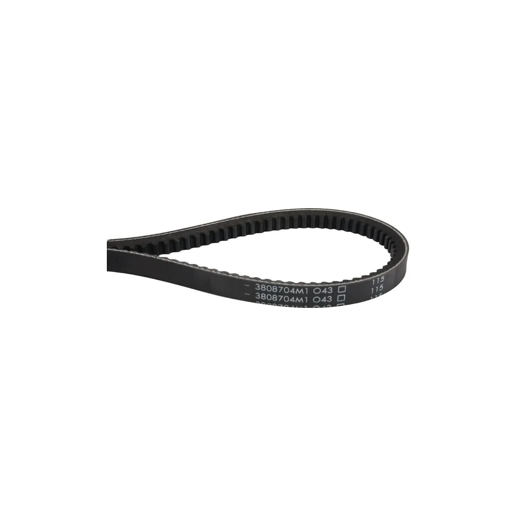 Curea trapezoidală 3808704M1