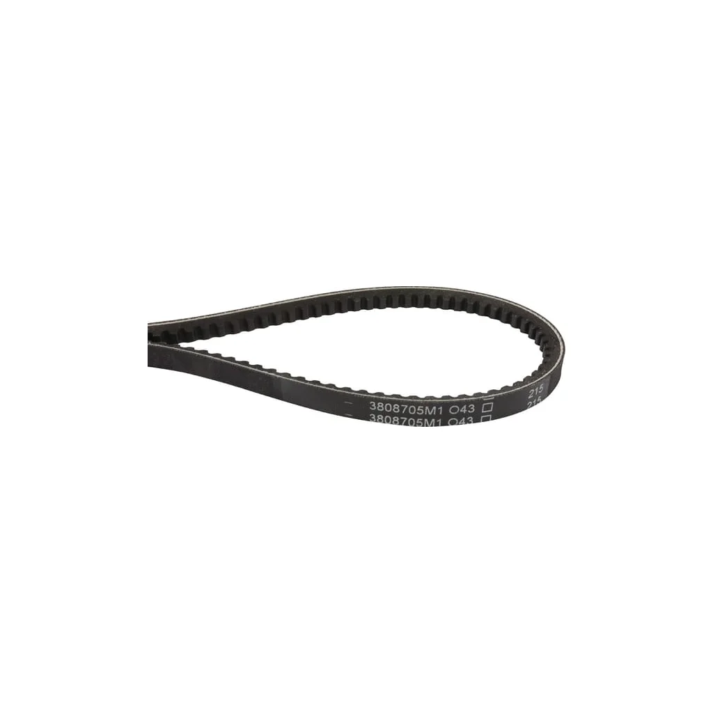 Curea trapezoidală 3808705M1