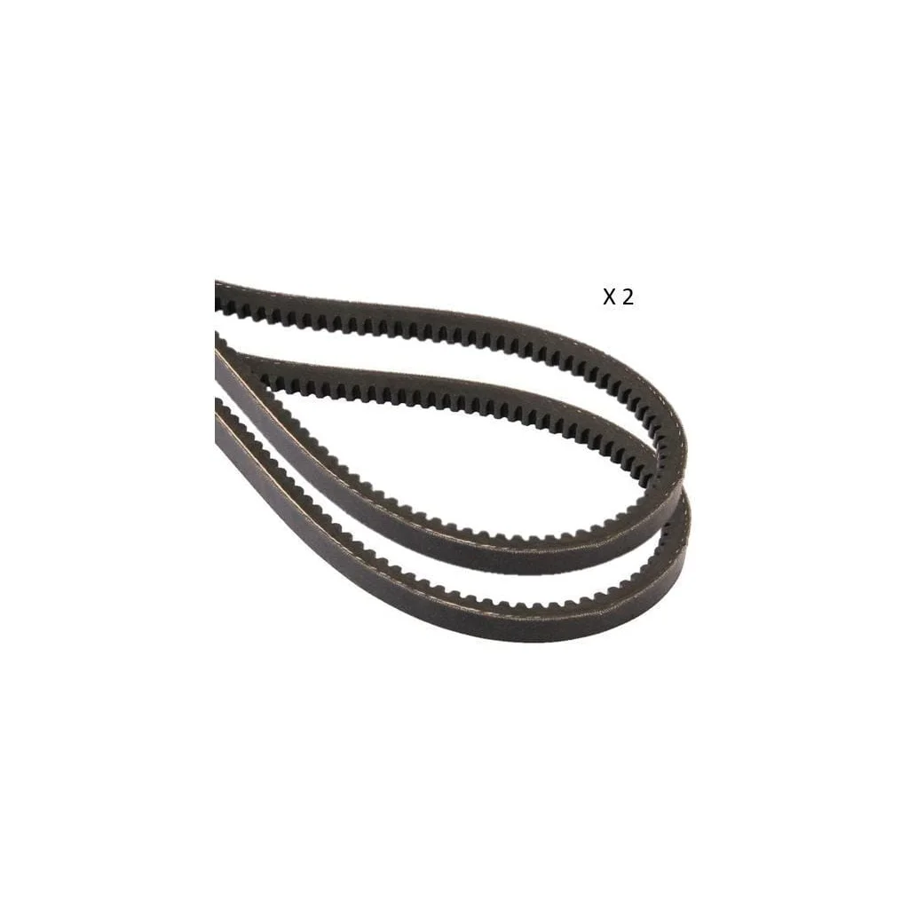 Set 2 curele trapezoidale 3780604M91