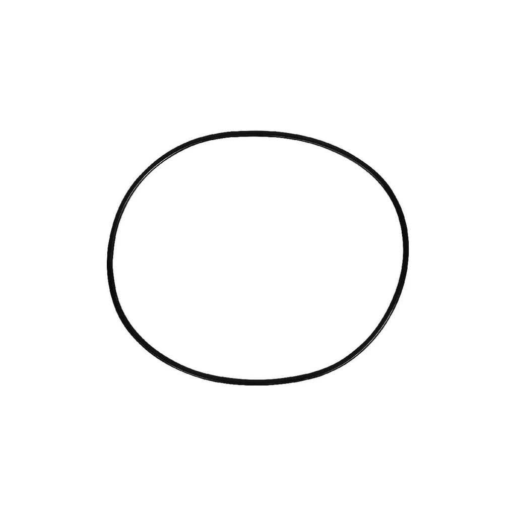 O-ring frână 359118X1