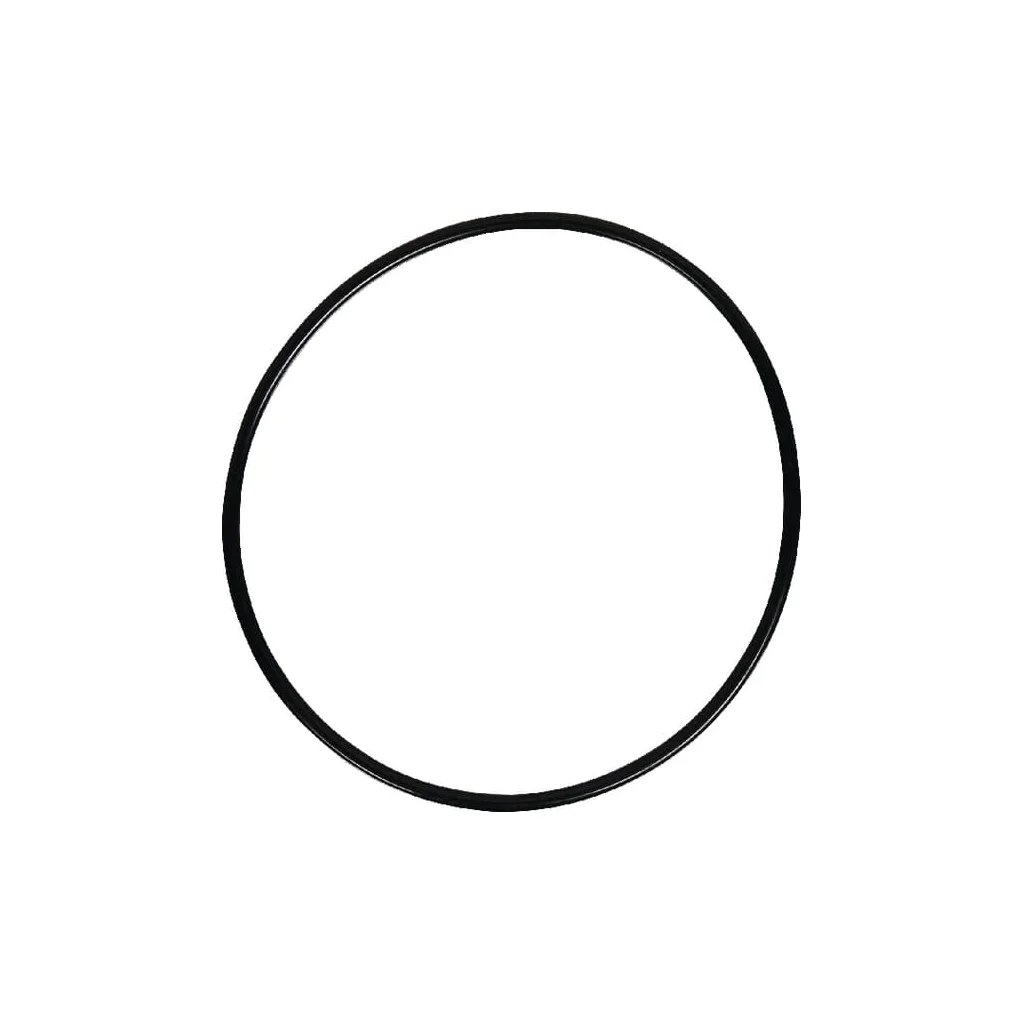 O-ring 359200X1