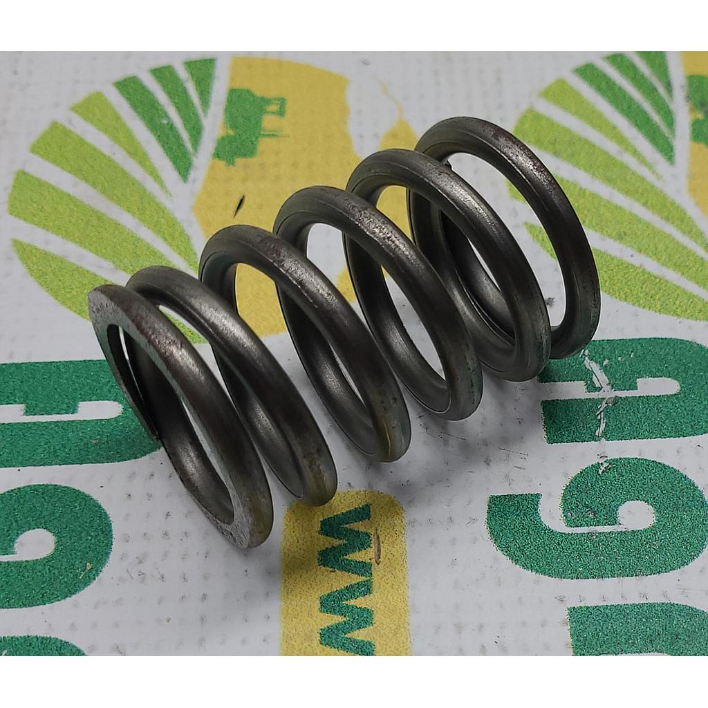 Arc Supapa 3055060R1