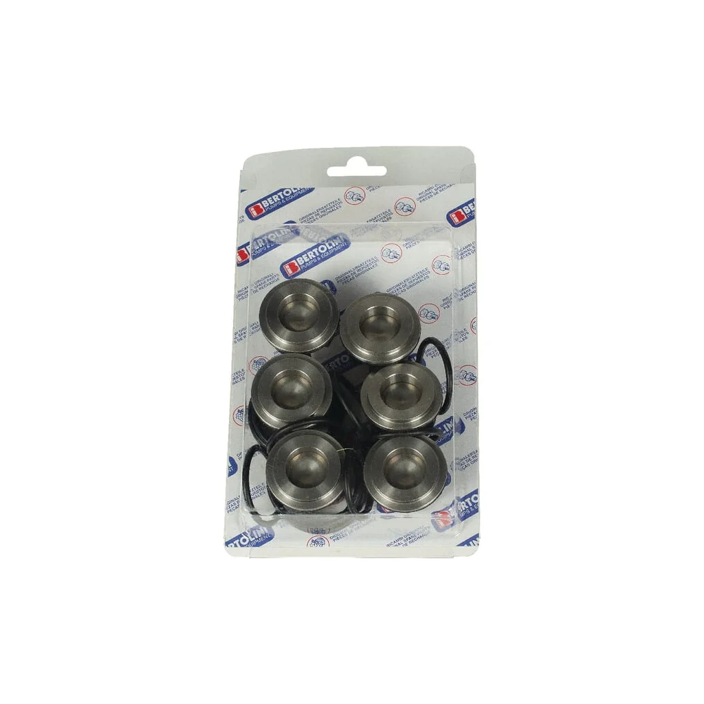 Set supape Bertolini 359870973