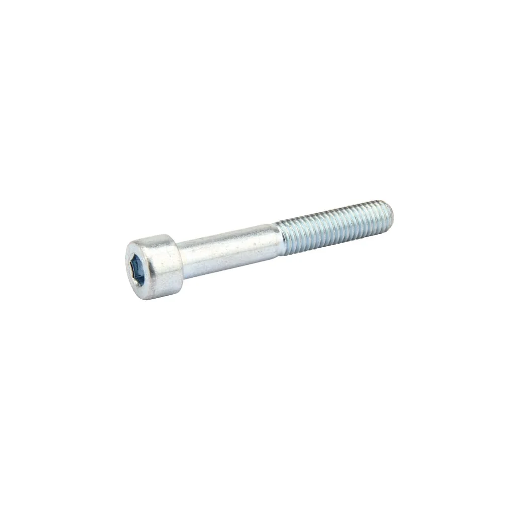 Șurub cilindru M8x55-8.8 36090014