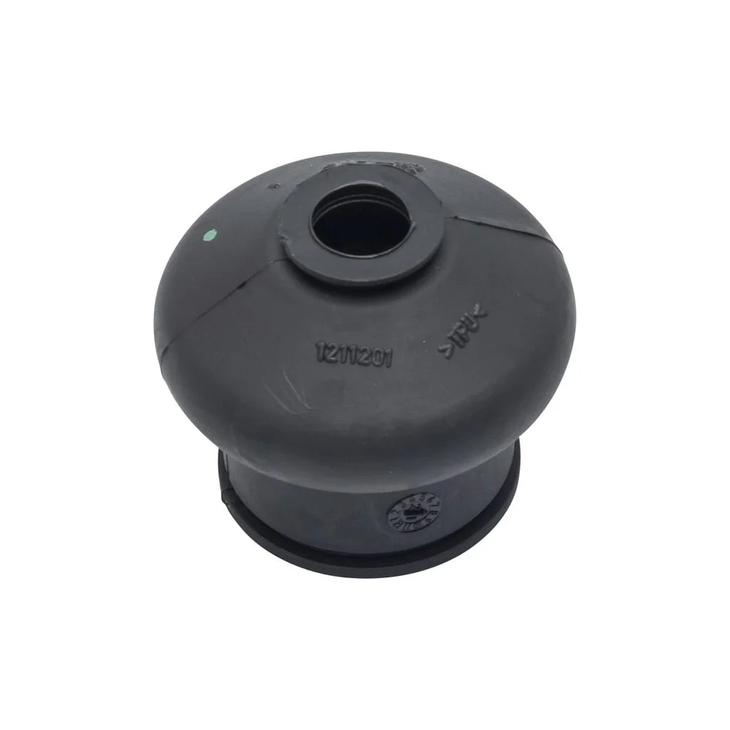 Capac 3654651M1
