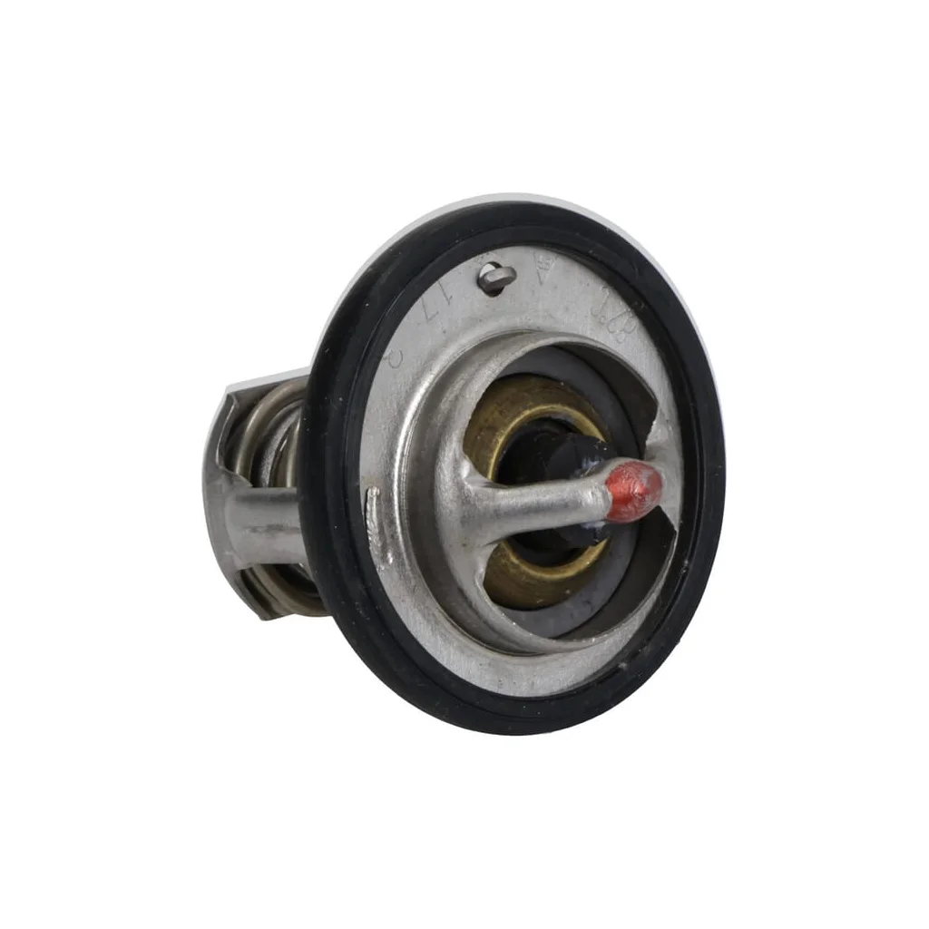 Termostat 3972598