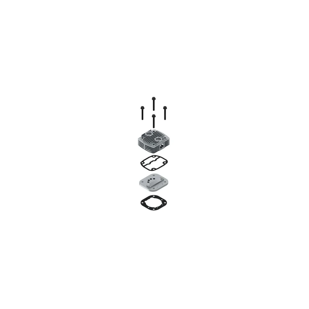 Kit: chiulasă 4111419282