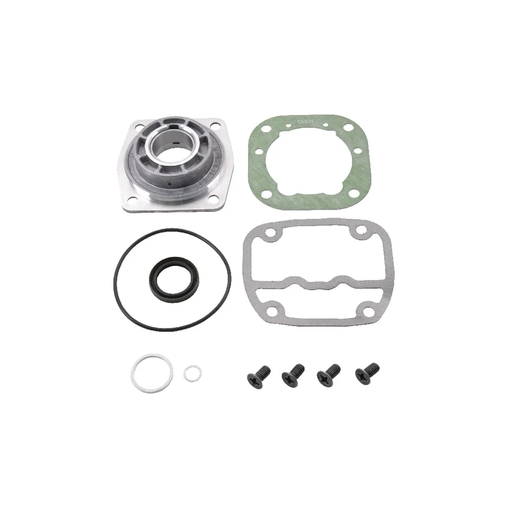 Set reparaţie compresor 4111400022