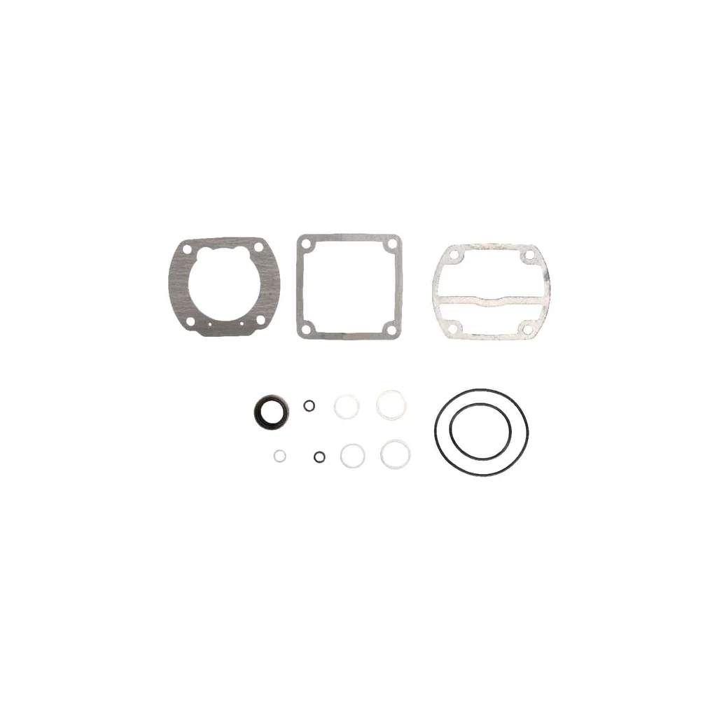 Set pentru reparaţii compresor 4110600012