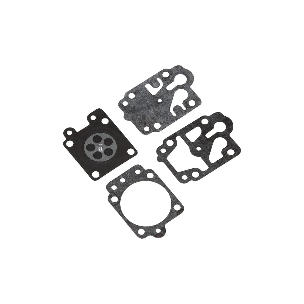 Kit reparație carburator 41700071066