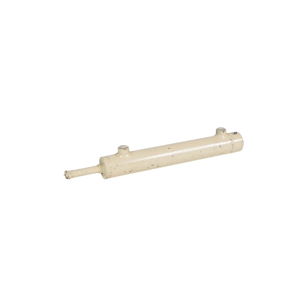 Cilindri sincroni cu butuc de 20x250 mm 40001383