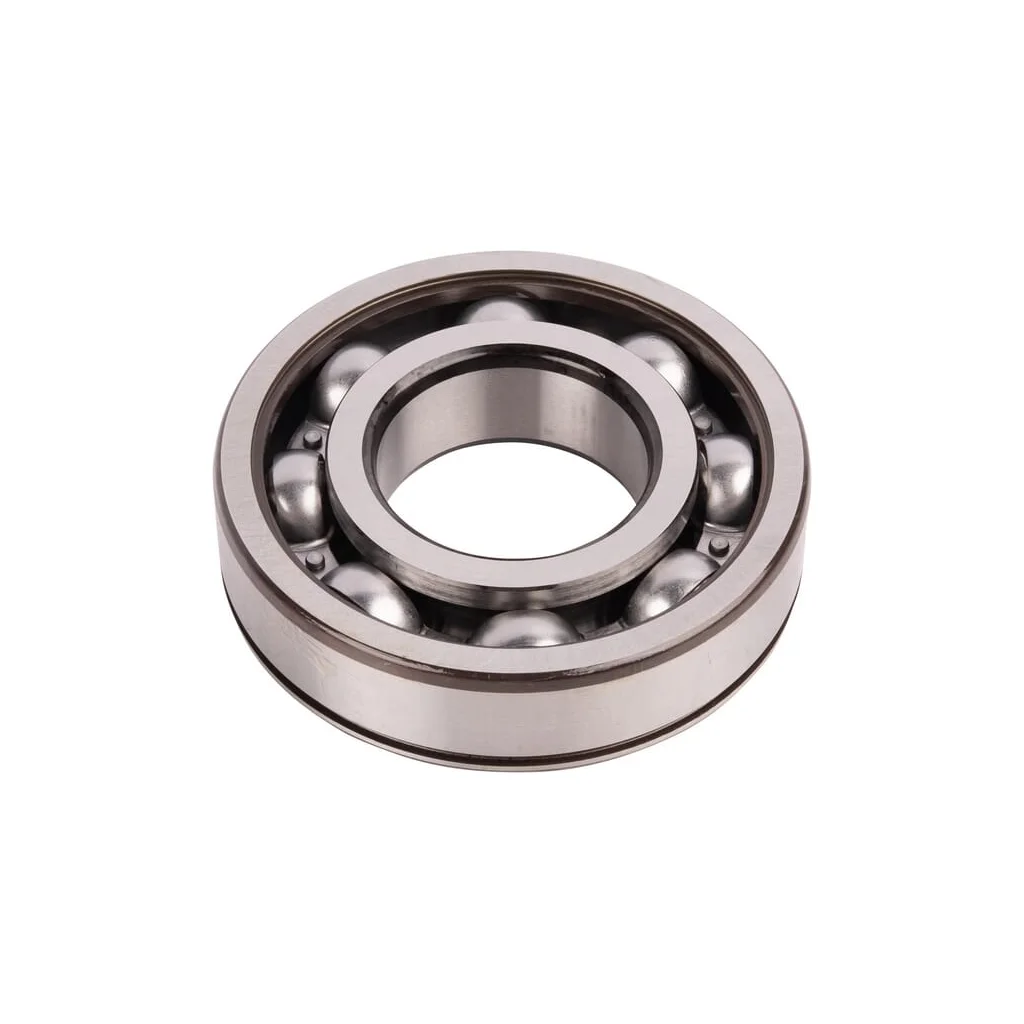 Rulment 4205105