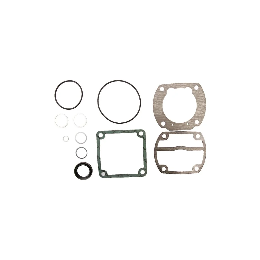 Set pentru reparaţii compresor 4110410012