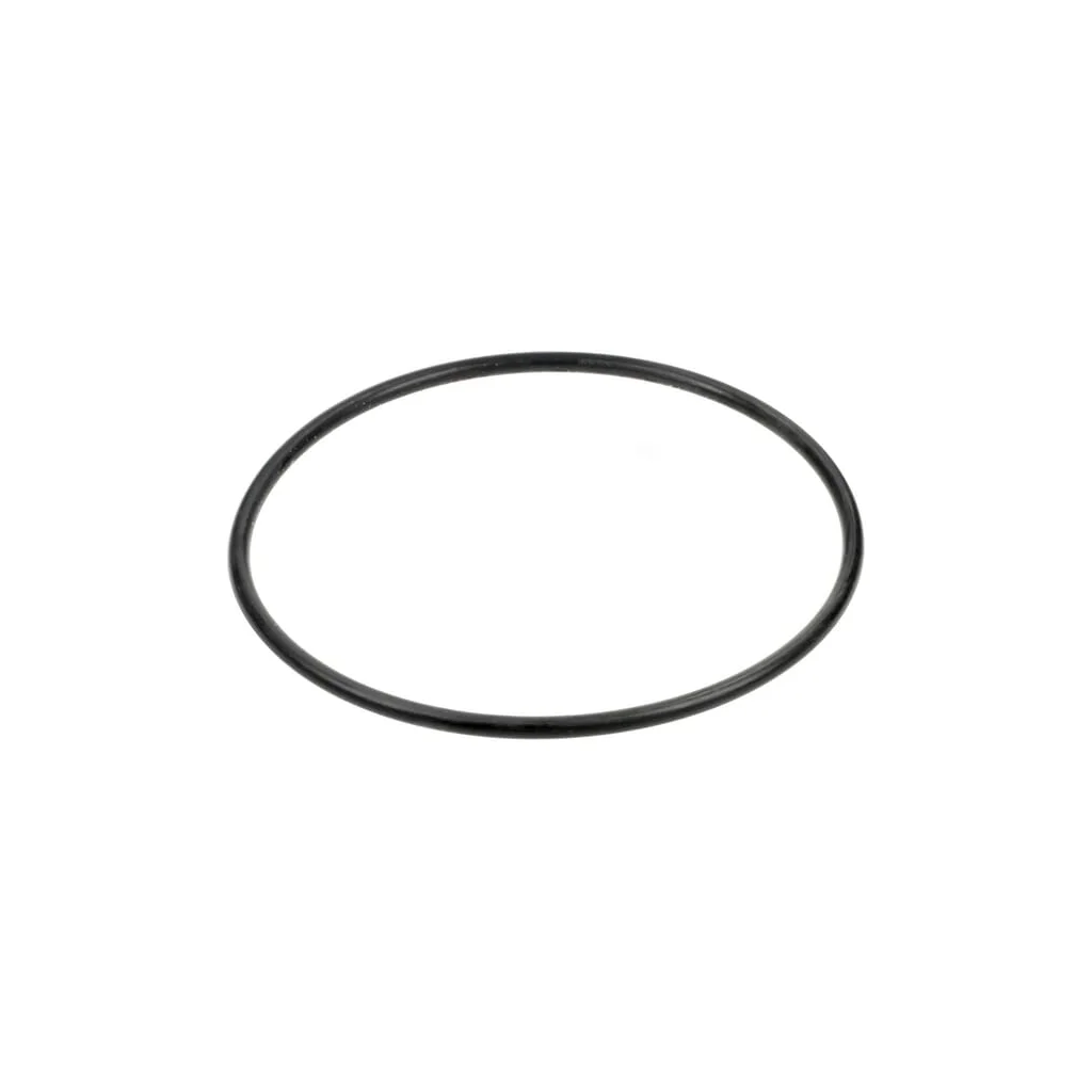 O-ring 4289985M1