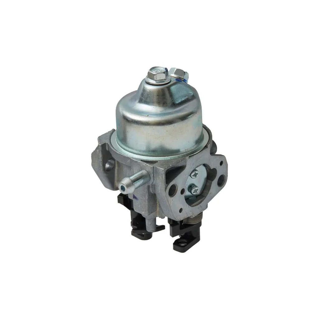 Carburator 418646