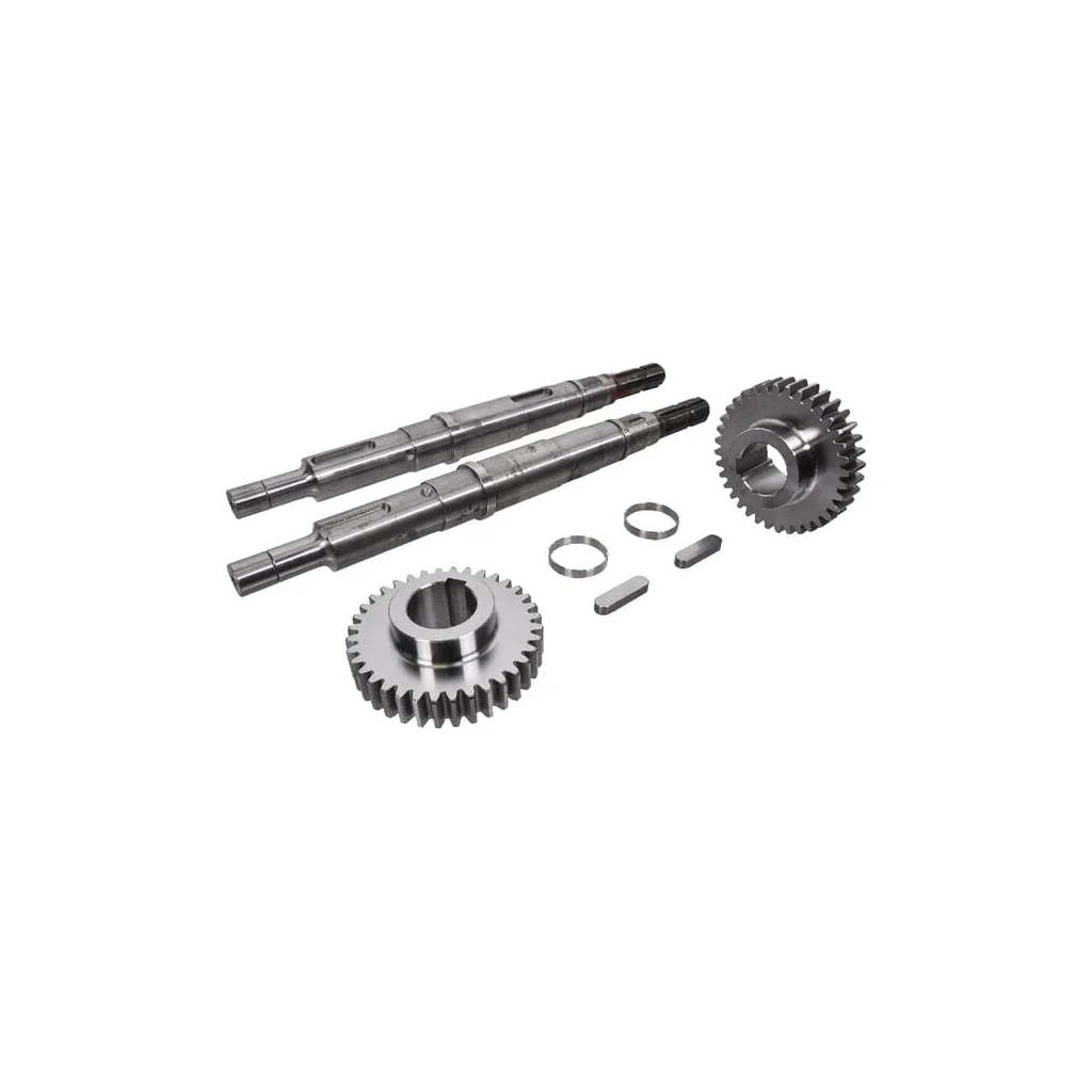 Distribuție nouă D BR-EVO 170 Battioni Pagani 4440001340