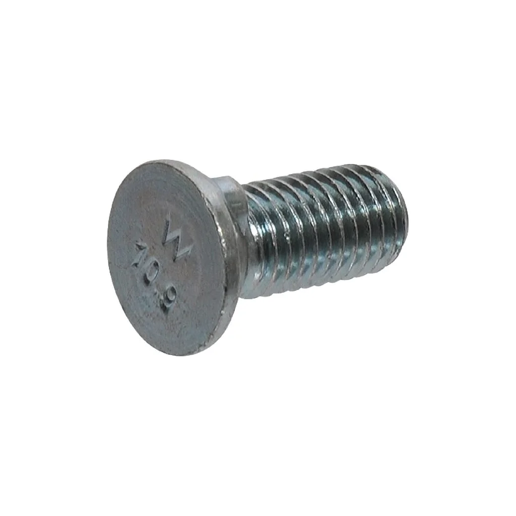 Șurub de plug 41650360221
