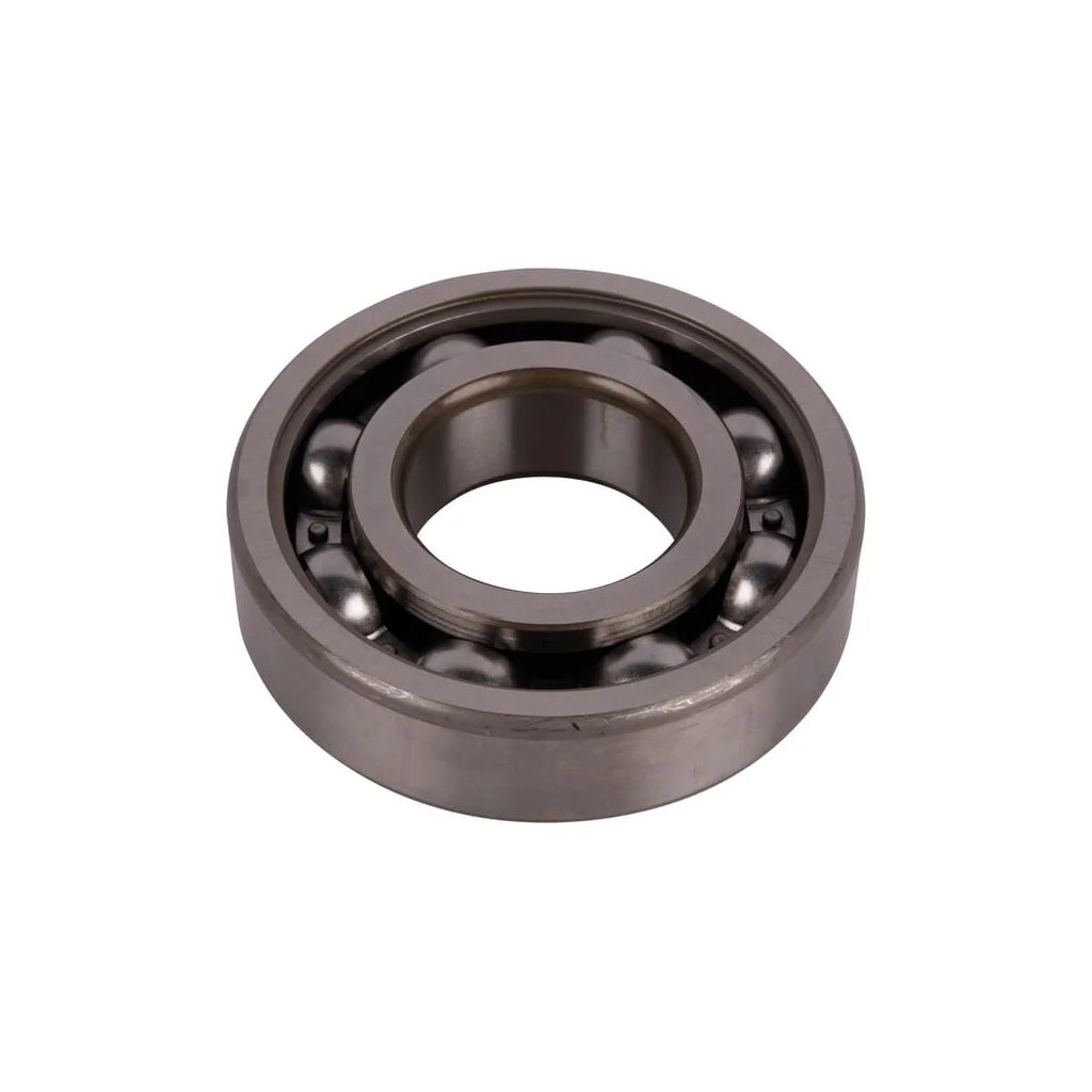 Rulment 4204314