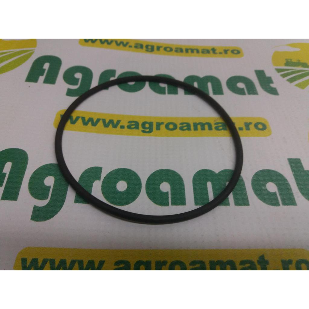 O-Ring 3382253M1