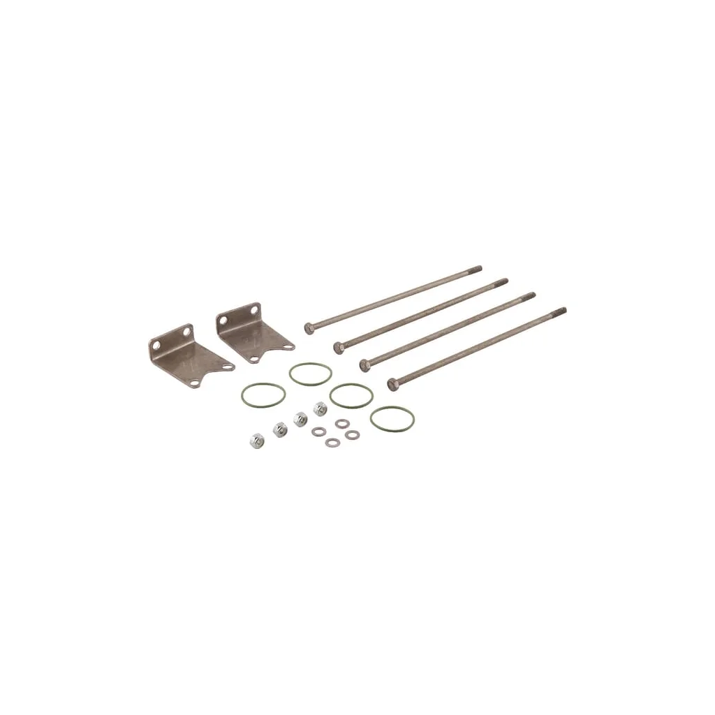 Set de fixare pentru 4 supape 463 463900940