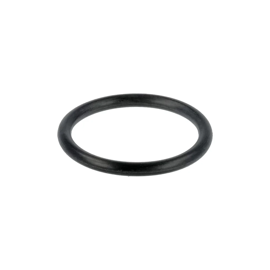 O-Ring corp duză 4225847M1