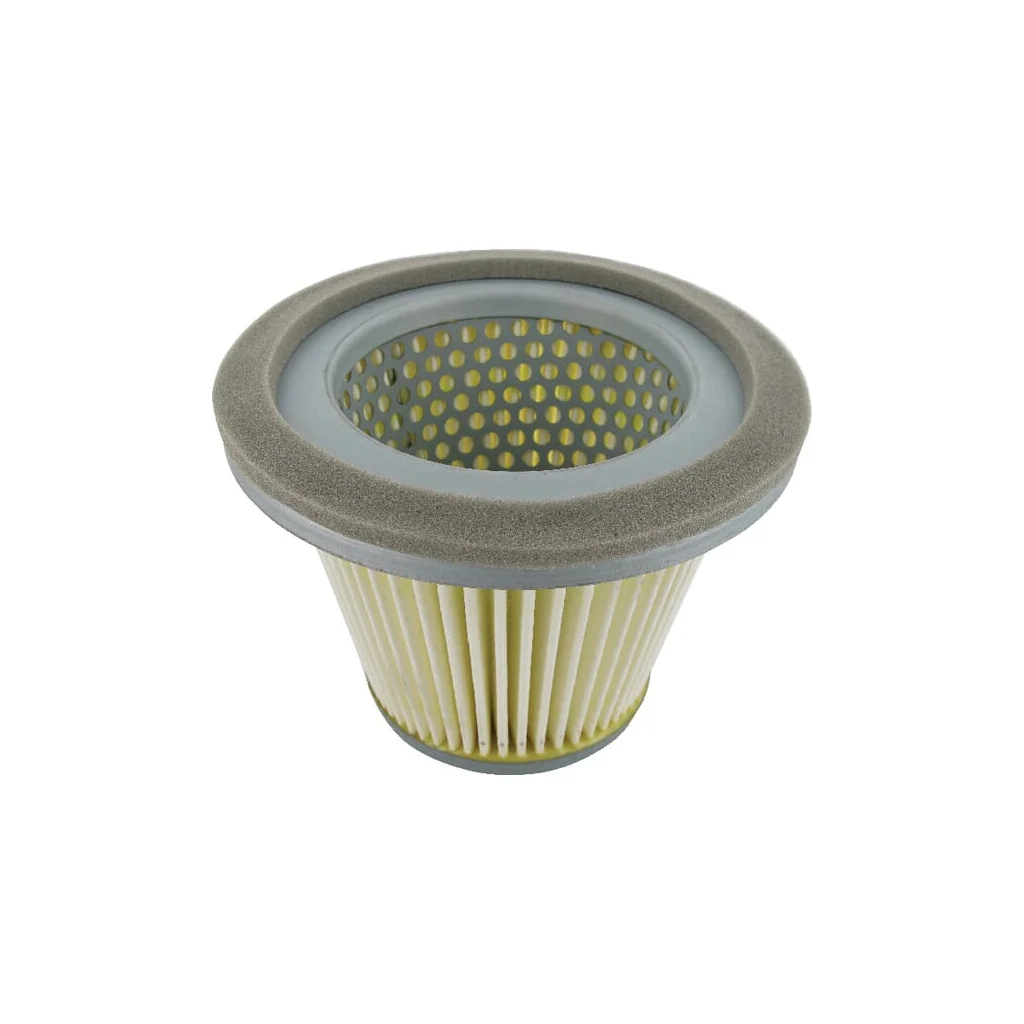 Filtru de aer FG300D 490642066