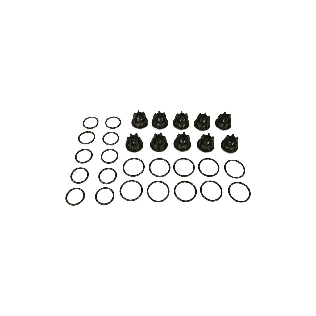 Set supape Bertolini 499806973