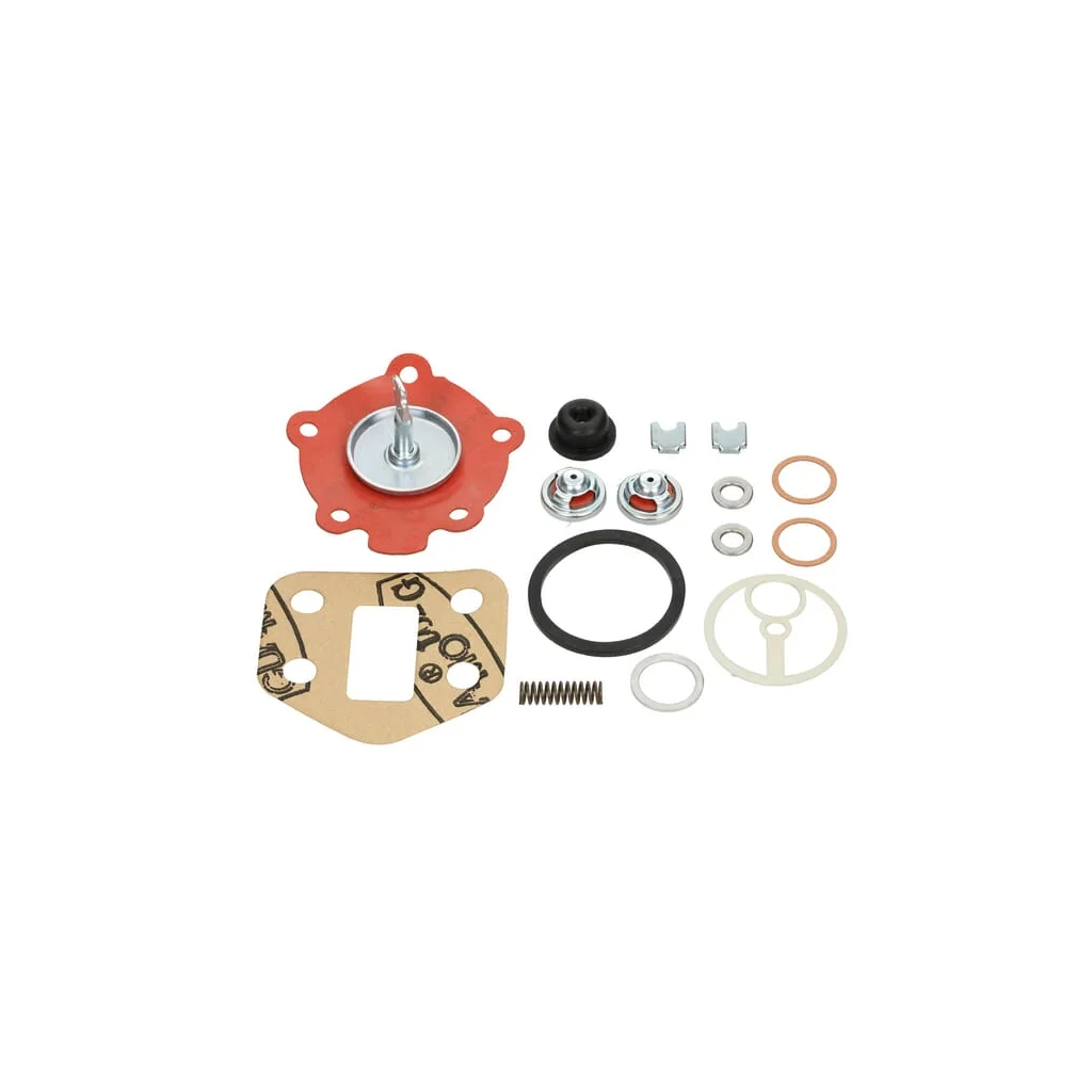 Set pompă presiune combustibil 4222326M91KR