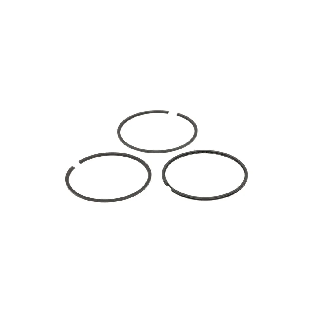 Set segmenți piston standard 499631