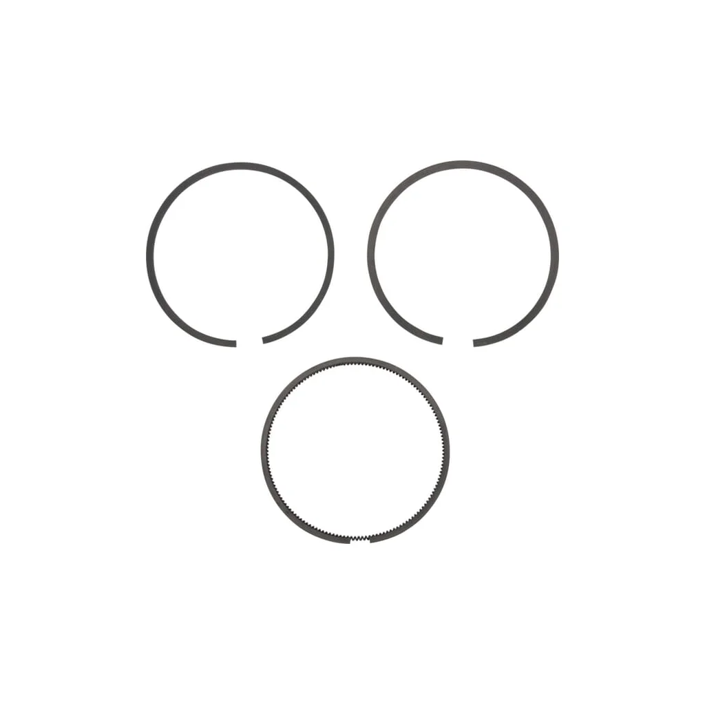 Set segmenti piston 020 495851