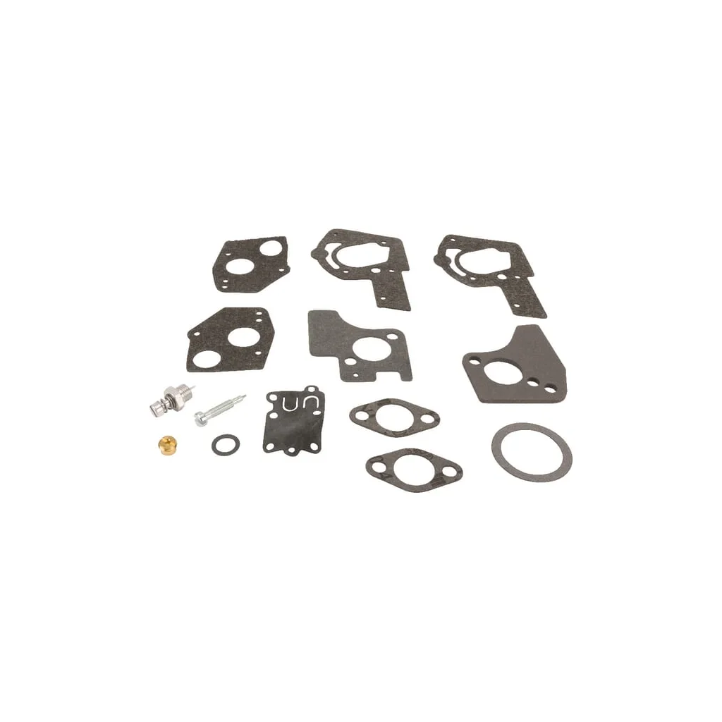 Kit de reparare carburator 495606