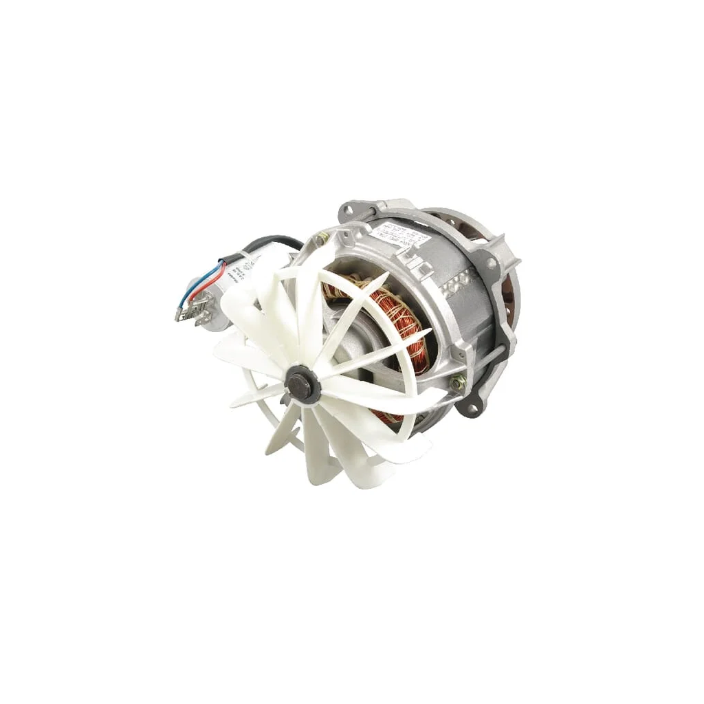 Motor 462213