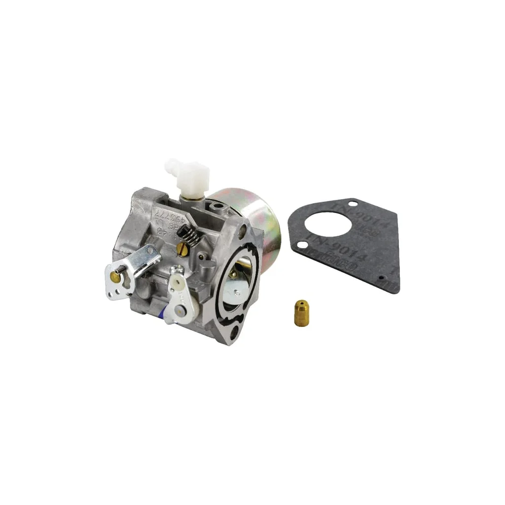 Carburator 495778