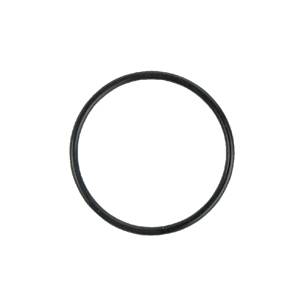 O-ring 480005