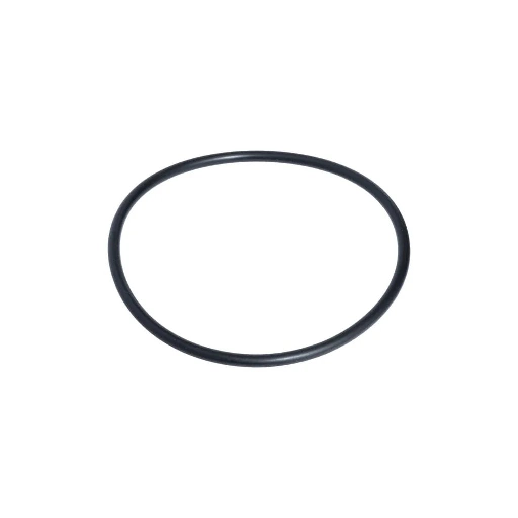 Garnitură O-ring Filterglass Classic F 477587