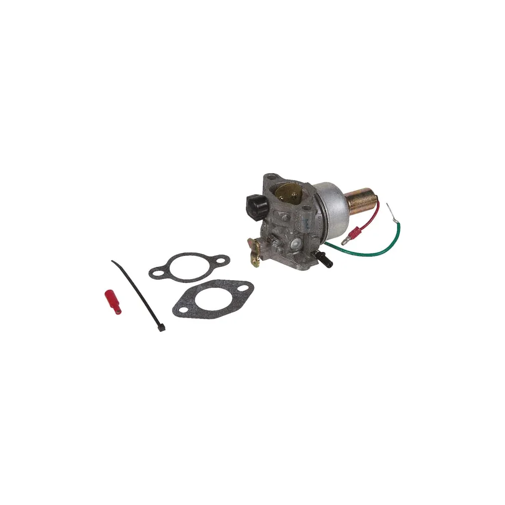 Carburator cu garnituri 4285303S