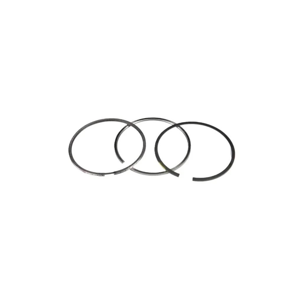 Set standard de segmenți de piston 500055919FPT