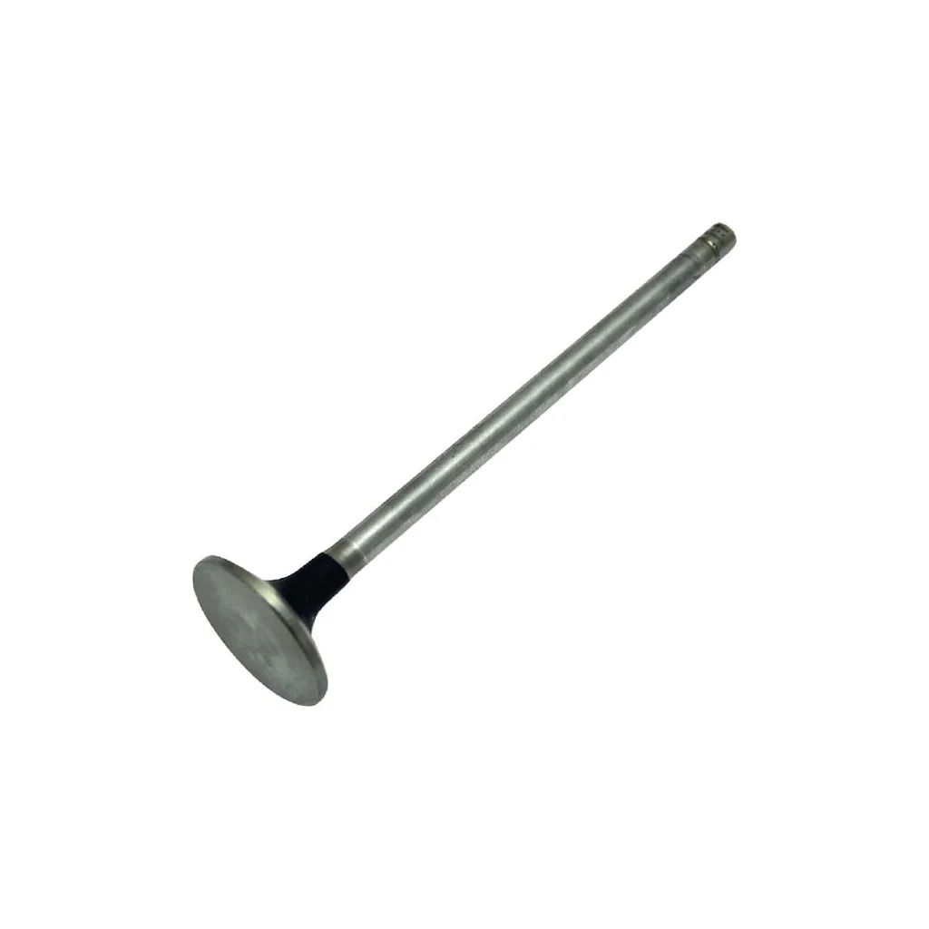 [AMAT2-150068] Supapă de alimentare standard 500355778