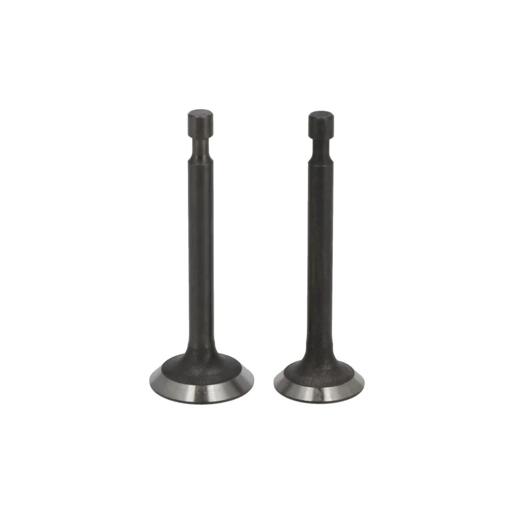 Set supapă 5005500340001