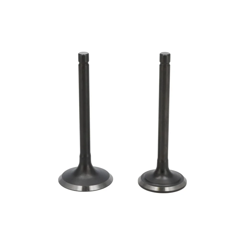Set supapă 5005500360001