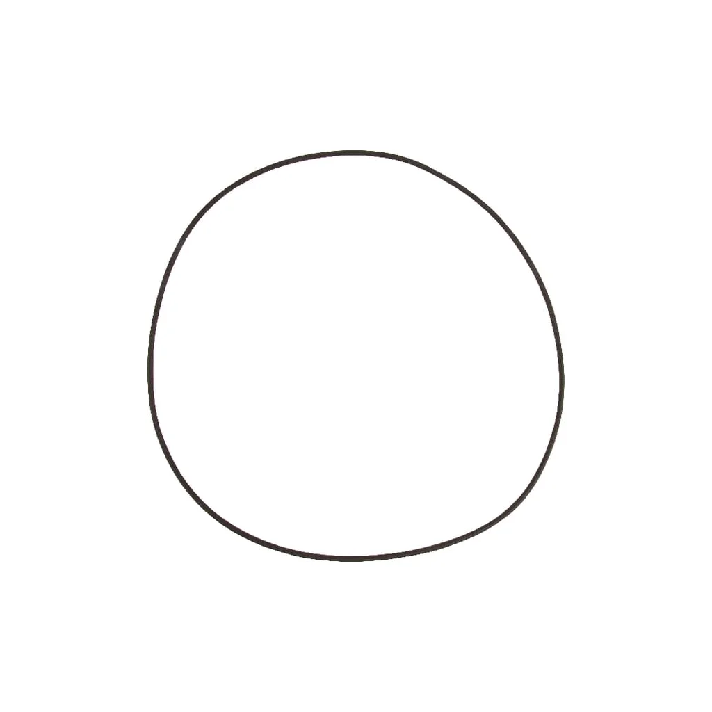 O-ring 5030210061