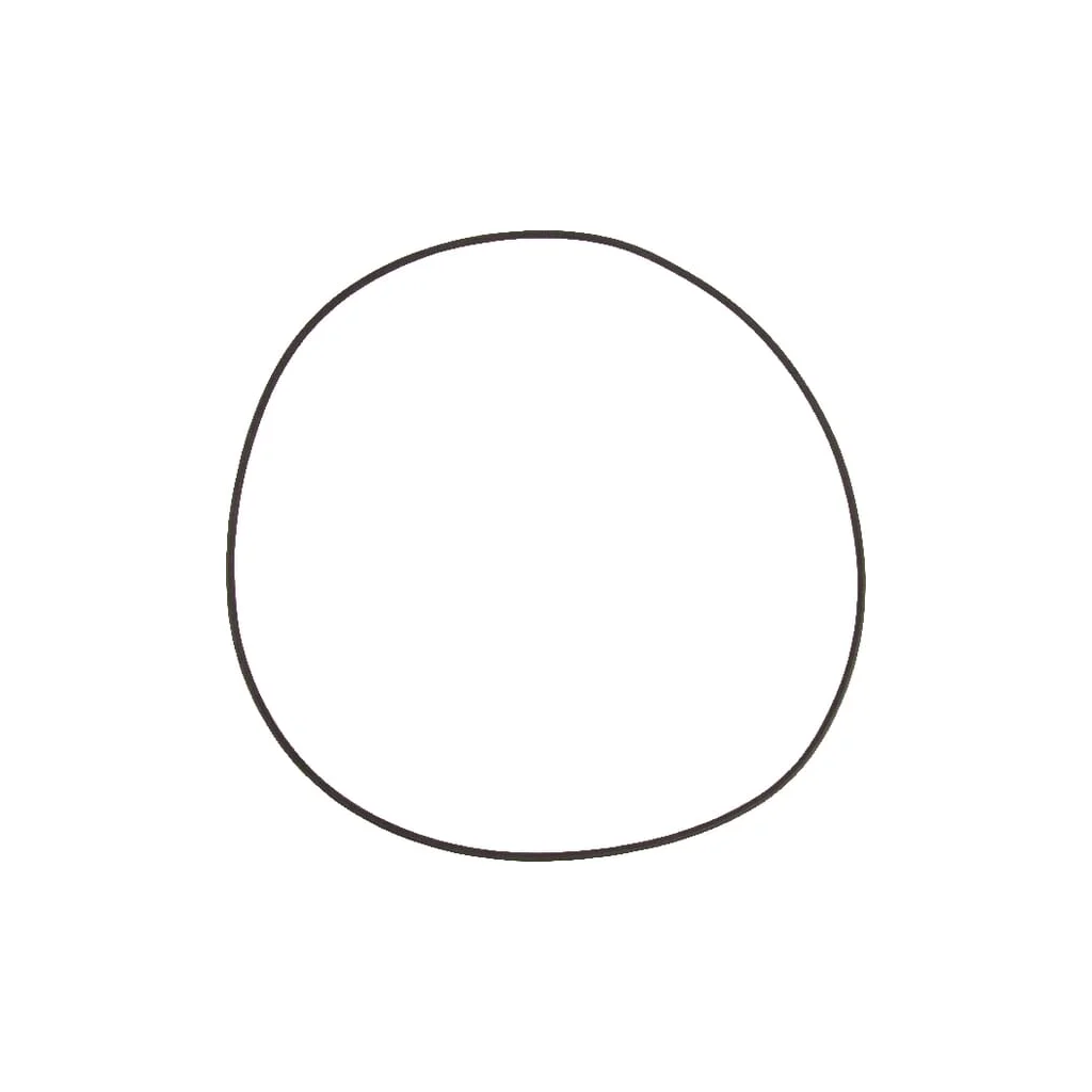 O-ring 5030210065