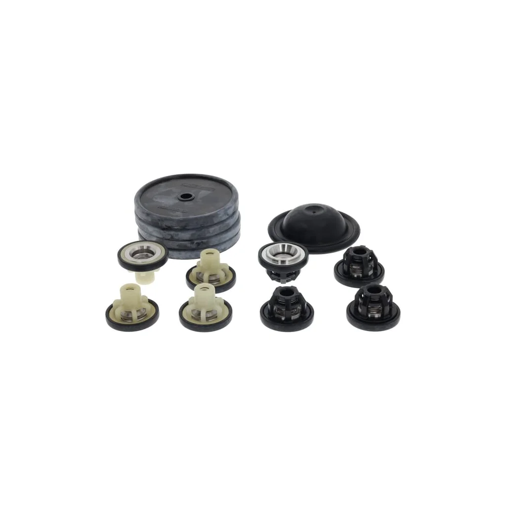 Kit piese de schimb pentru pompă 50260390