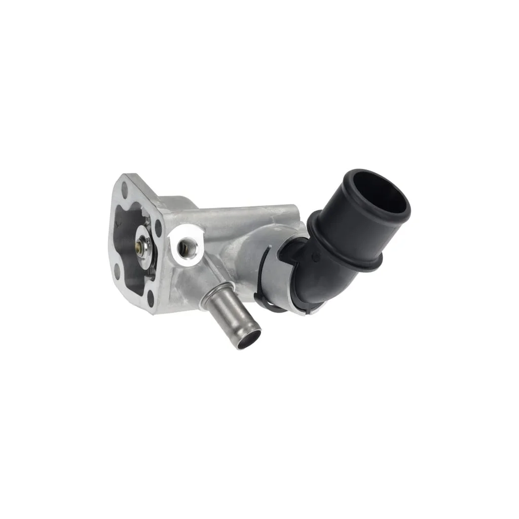 Termostat 4814381