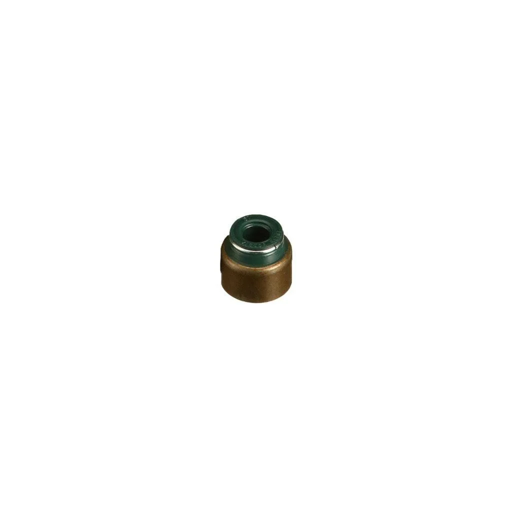 Capac 4895411FPT