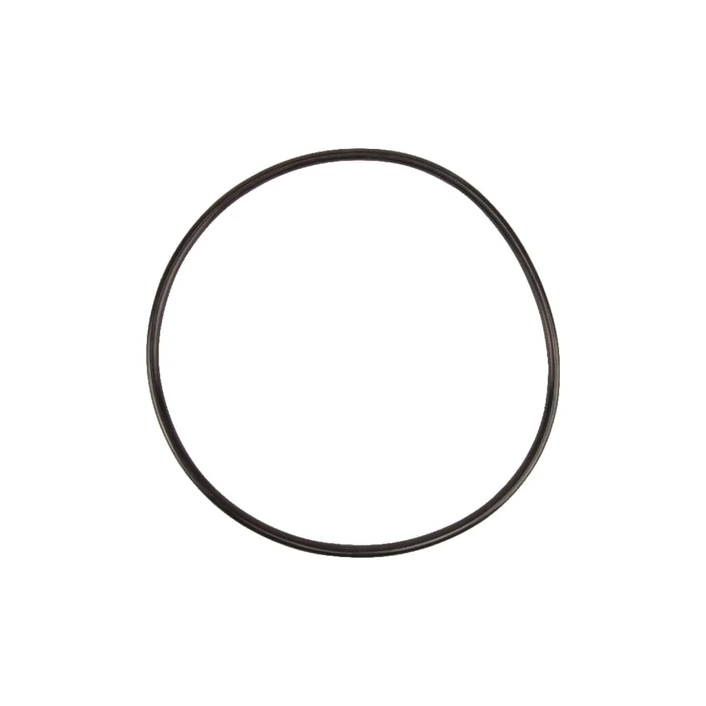 O-ring 5030210059