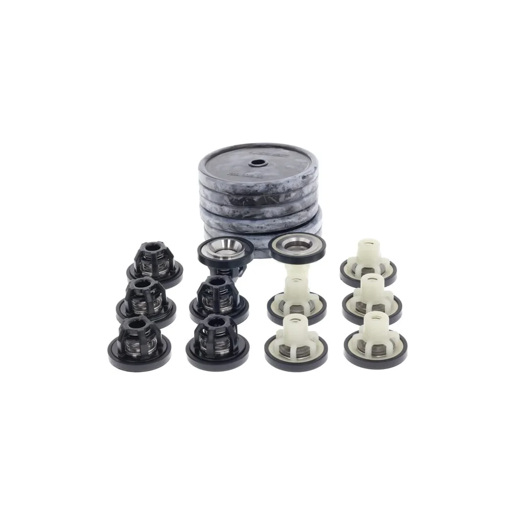 Kit piese de schimb pentru pompă 50260358
